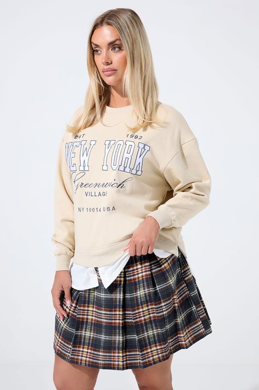 LIMITED COLLECTION Curve Black Check Pleated Mini Skirt