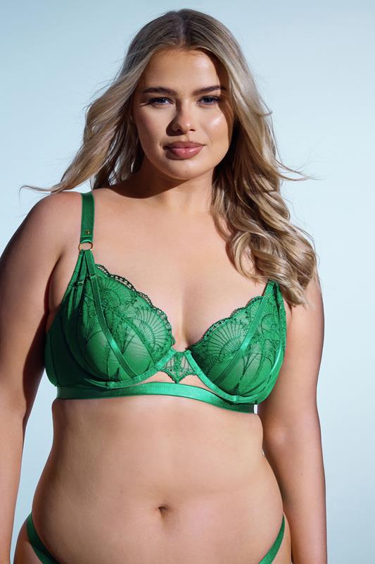 PLAYFUL PROMISES Green Lace Embroidered Underwired Bra